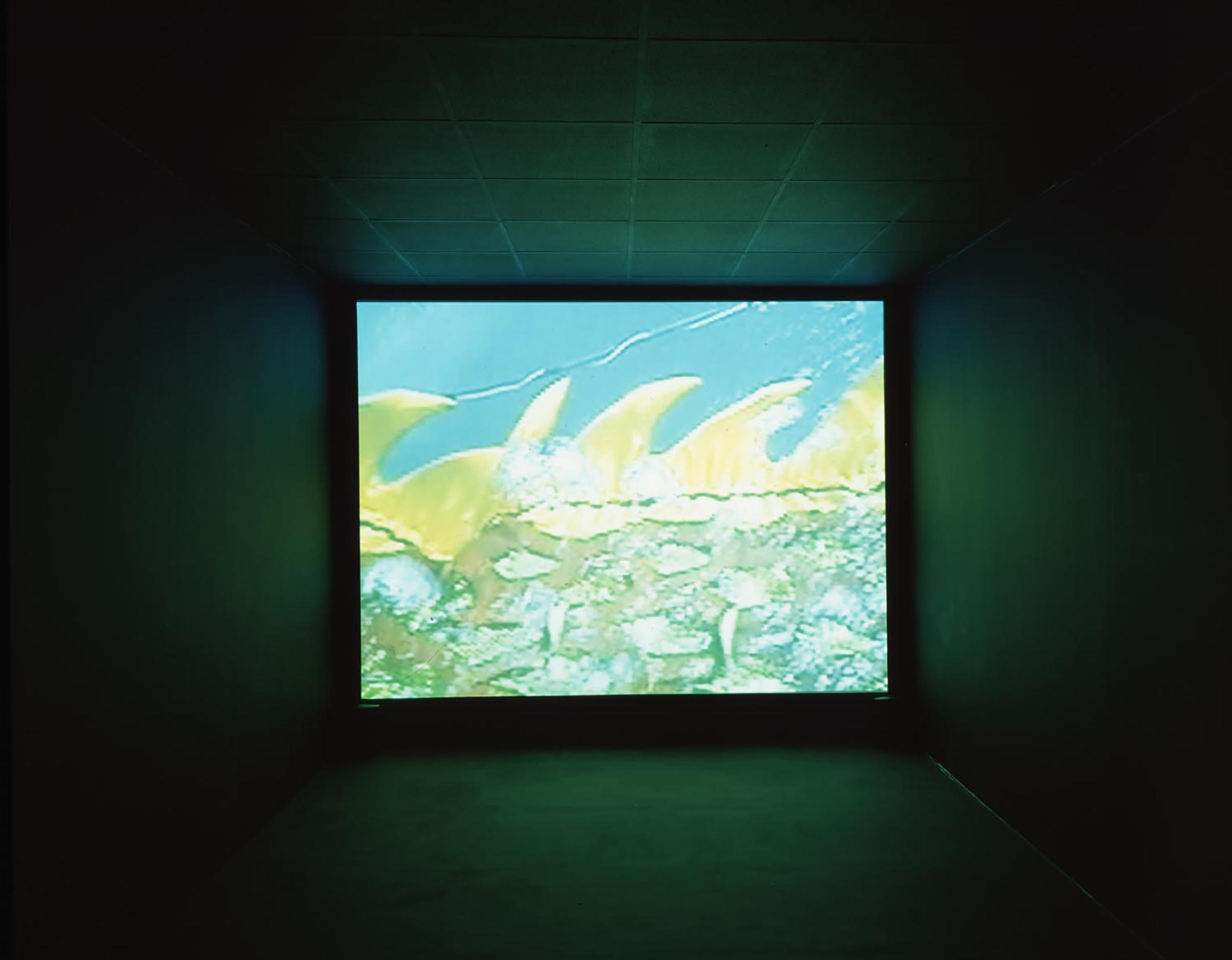 Jun Nguyen-Hatsushiba, Happy New Year - Memorial Project Vietnam II, 2003